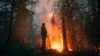 Russia Forest Fires