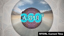 Азия 360: Верблюжья ферма