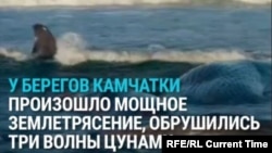 Землетрясение и цунами на Камчатке: как это было